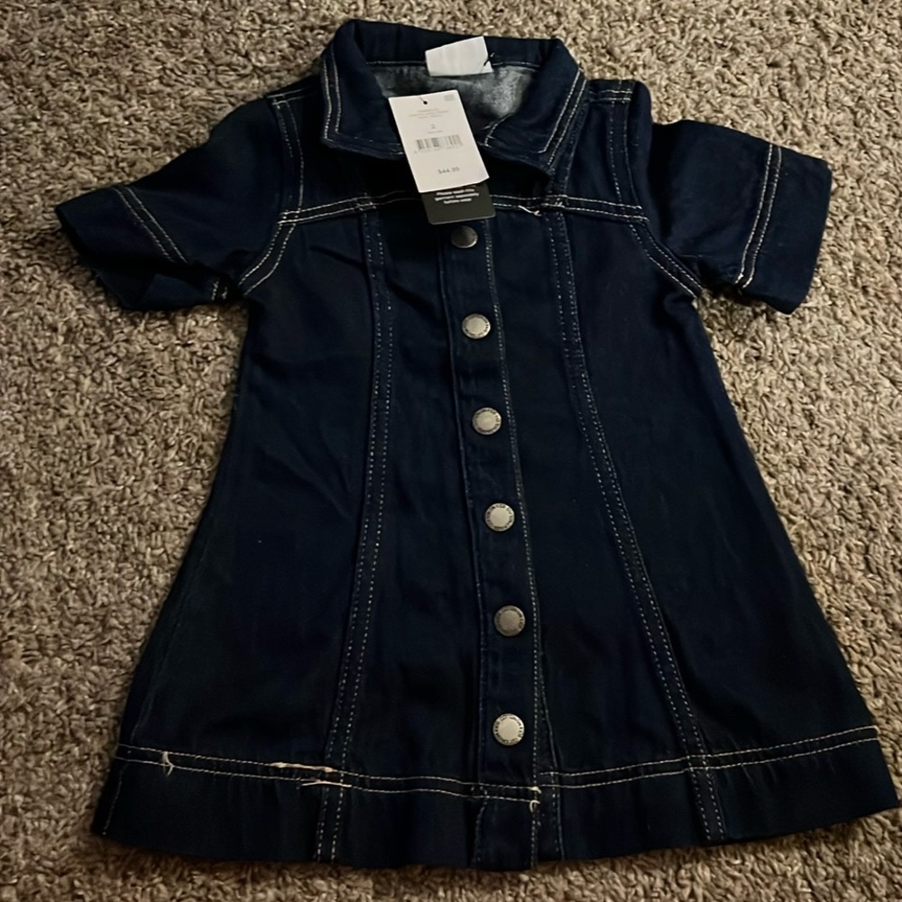 Dark blue denim button-down dress